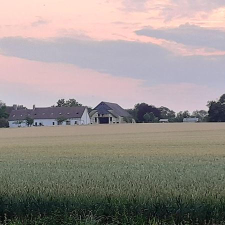 Gite Et Chambre D'Hotes Du Guillot Sainte-Solange Eksteriør bilde
